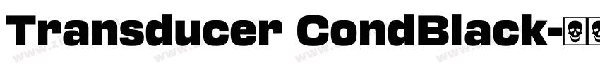 Transducer CondBlack字体转换